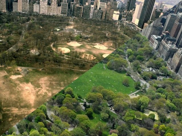 Assim mudou o Central Park desde os violentos anos 80 (fotos)