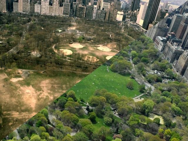 Assim mudou o Central Park desde os violentos anos 80 (fotos) 