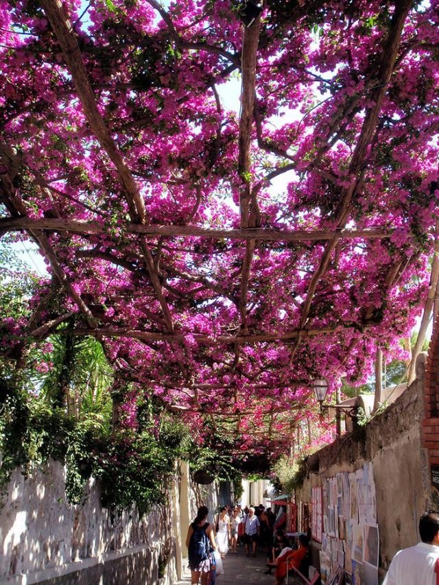 Rua em Positano, Itália