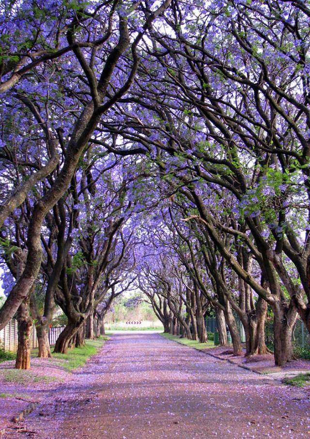 Rua em Cullinam, África do Su