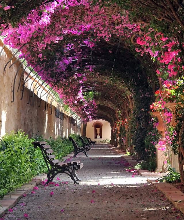 Rua em Valência, Espanha