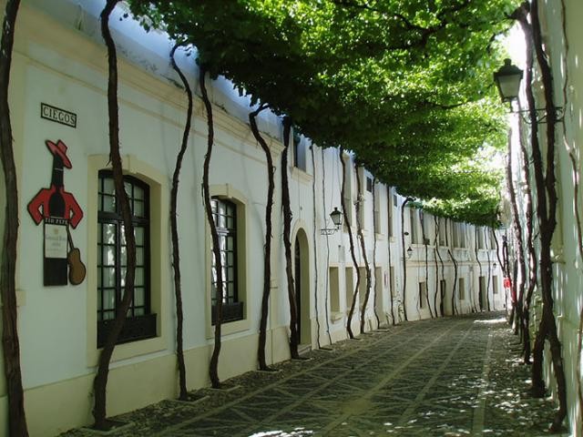 Rua em Jerez, Cádiz, Espanha