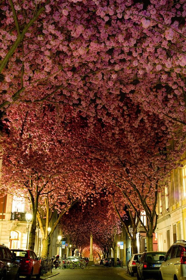 Rua em Bona, Alemanha