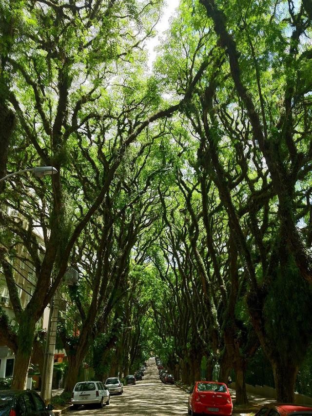 Rua em Porto Alegre, Brasil
