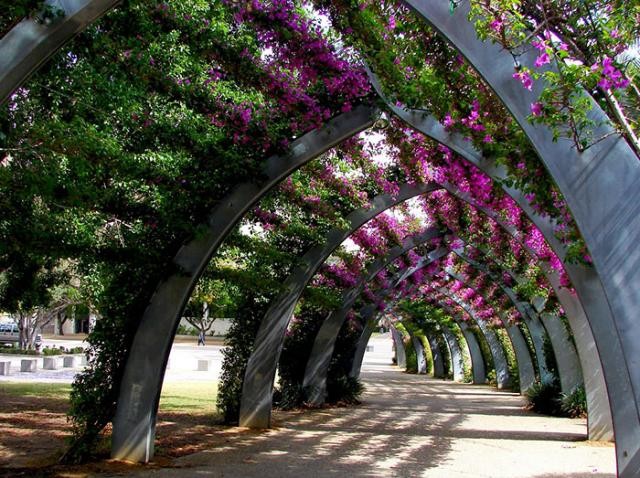 Rua em Brisbane, Austrália