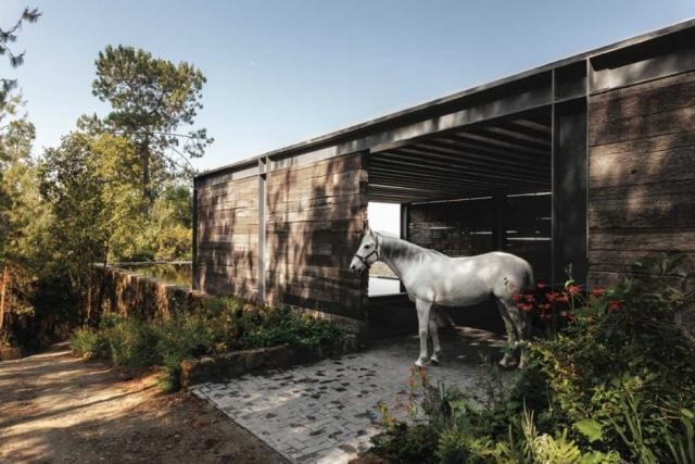 Casas de sonho: o rancho perfeito para um cowboy moderno (fotos)