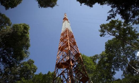 A torre mais alta da América Latina está no meio da Amazónia (fotos)