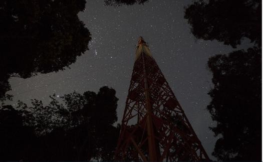 torre-9