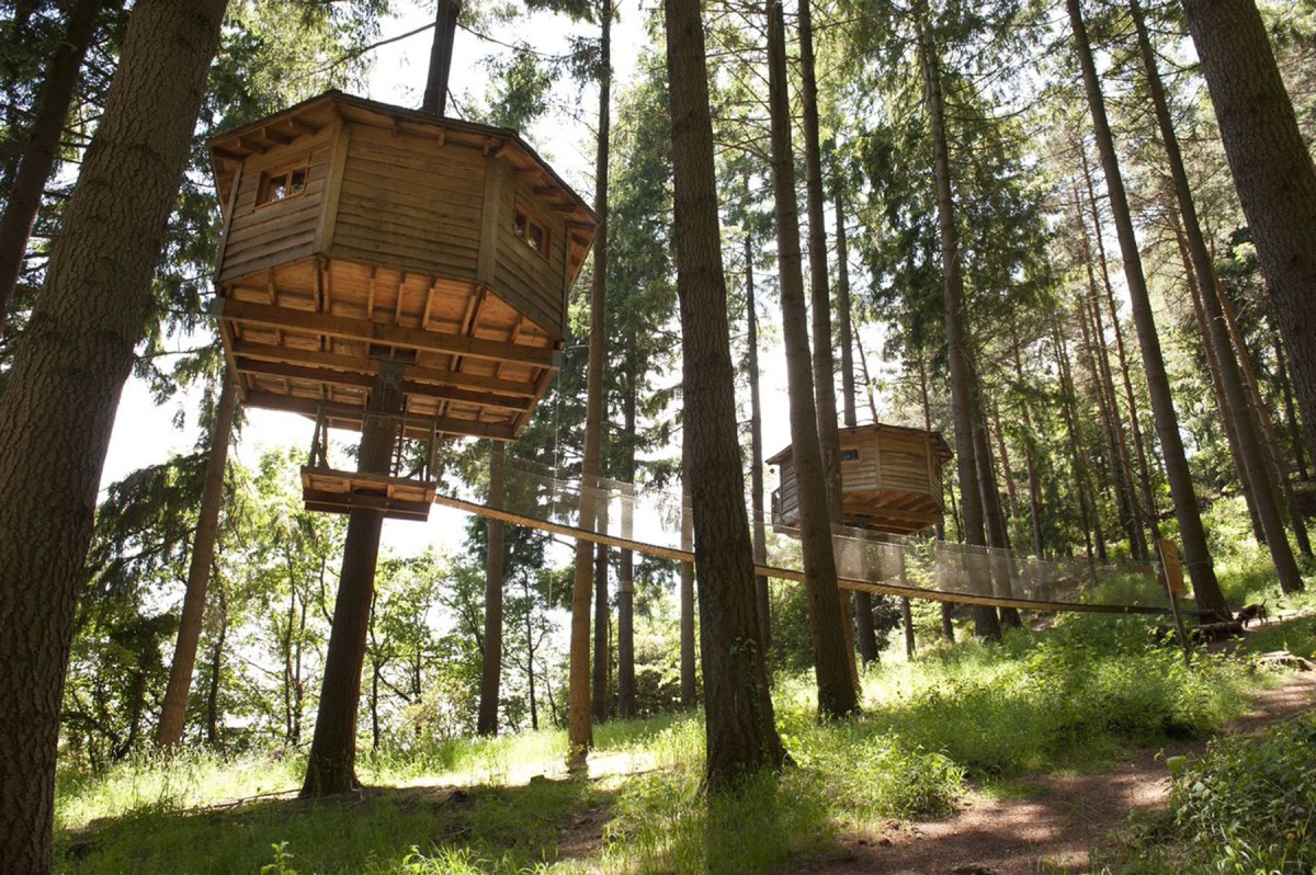 casas_en_arboles_716512201_1800x1197