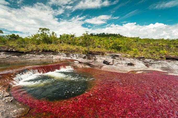 Caño Cristales, Colômbia