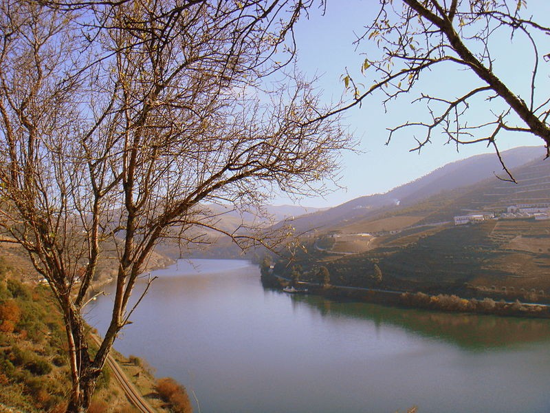 Hotéis no Douro a duas velocidades: falências e novos investimentos marcam a zona norte