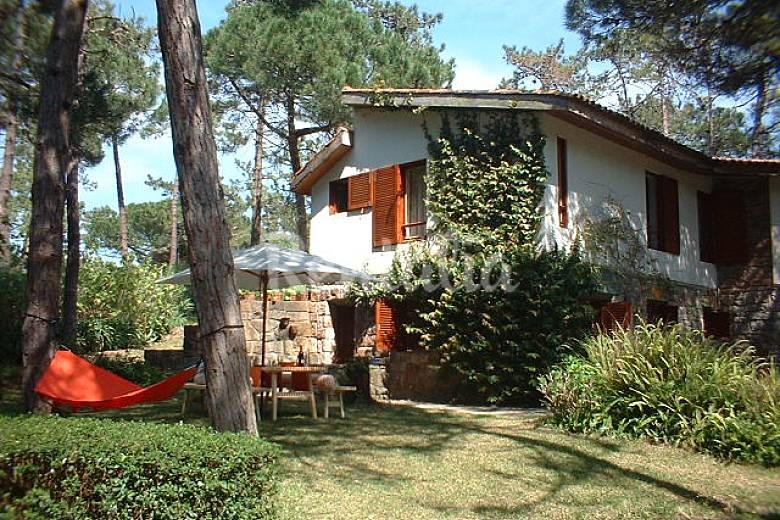 Casas de fim de semana: Desfrutar da paz do campo num pinhal em Sintra (fotos)