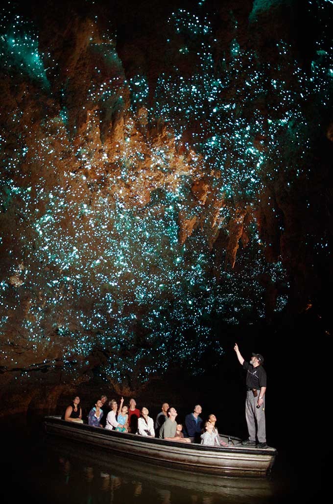 Cavernas de Waitomo, Nova Zelândia
