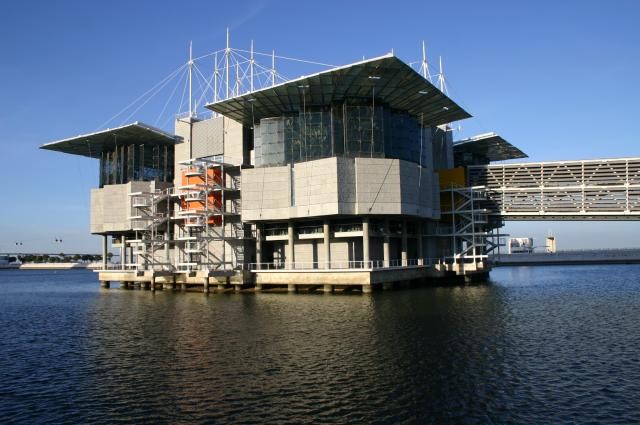 Oceanário será privatizado em julho