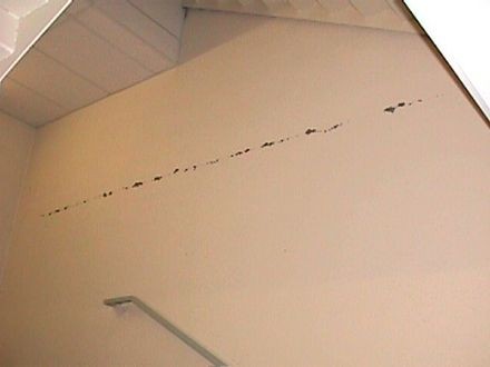 Apareceram umas fendas nas paredes do meu apartamento novo. O que posso fazer?