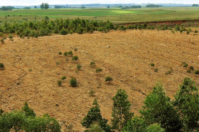 Terrenos abandonados vão ser tomados pelo Estado (guia para entenderes como e quando...)