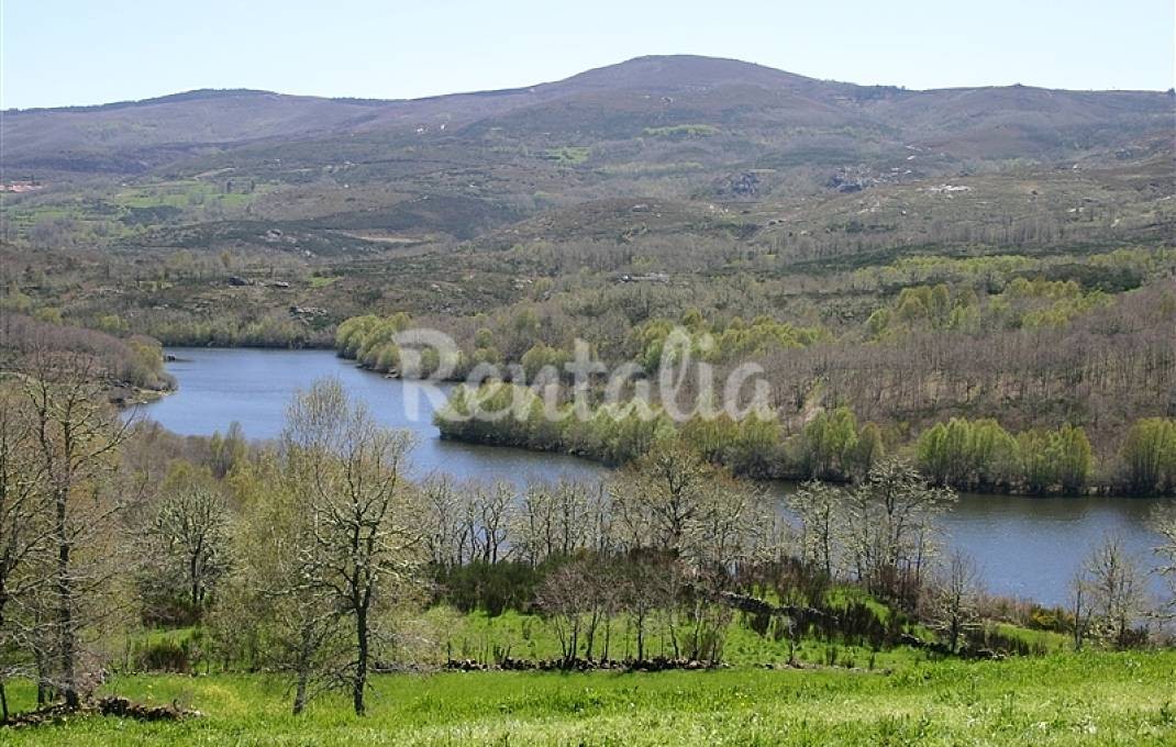 h.2058468.1070.680.0.ffffff.wm_.c01ec598