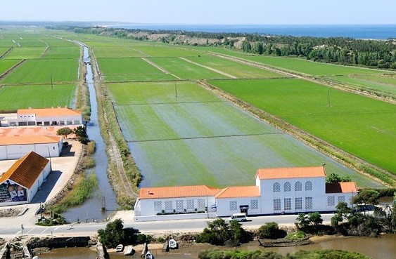 Comporta em risco de perder 20 milhões e ter "liquidação imediata"