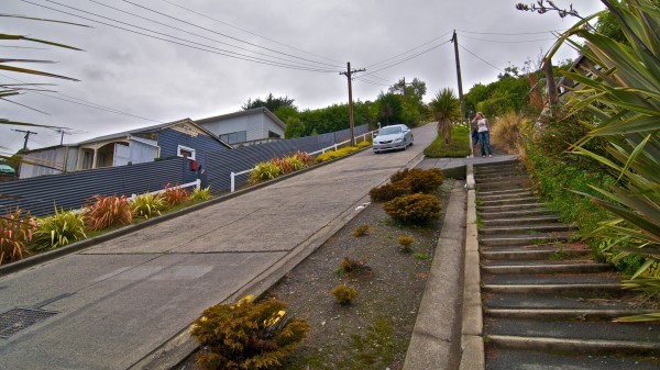 calle-dunedin-11