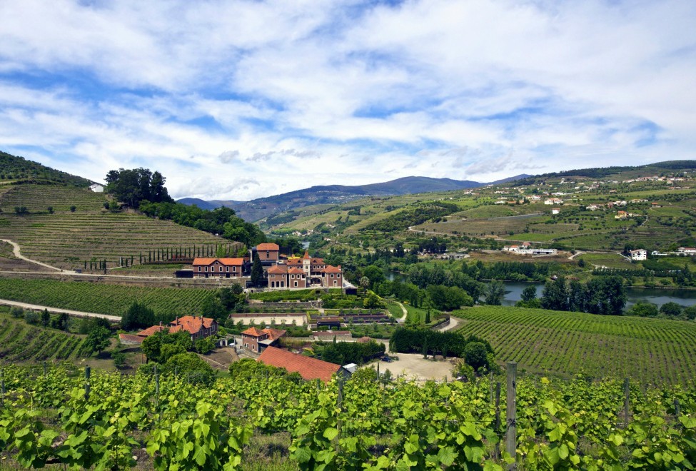 975x660_11-vineyard-pool-villa-exterior_panorama_300x185