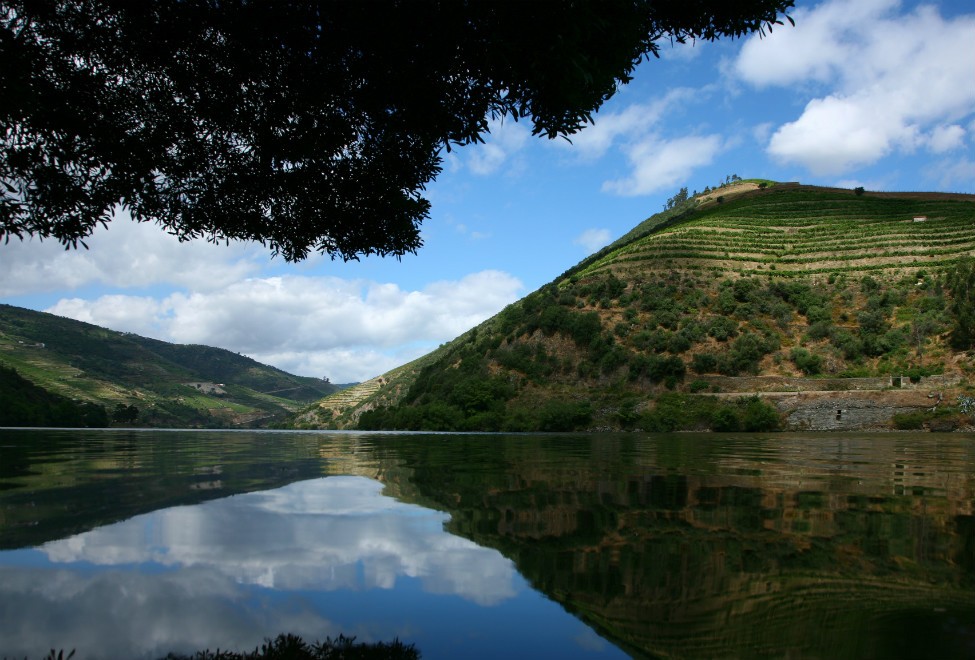 975x660_douro_140x87