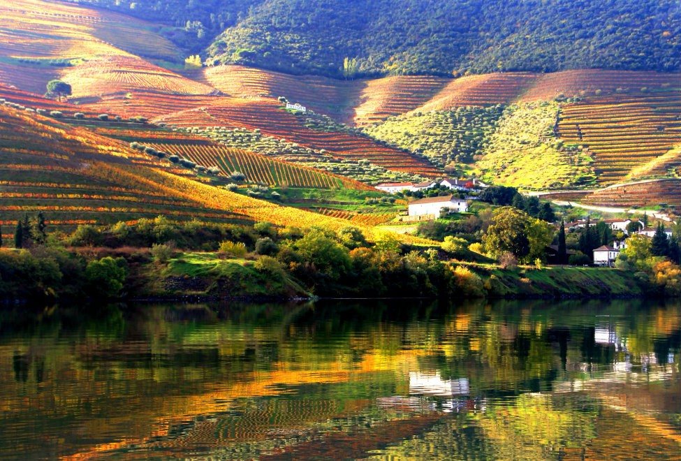 975x660_douro_valley_45_140x87