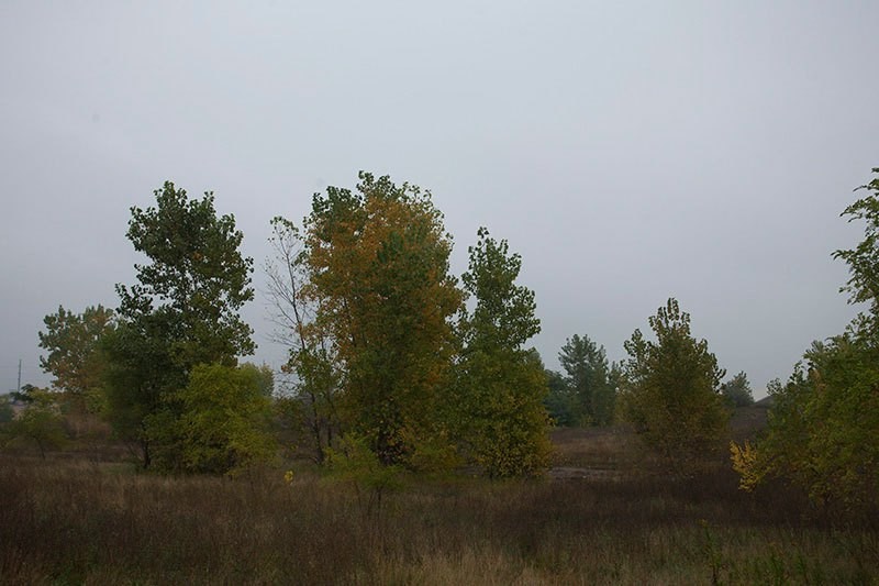 Detroit: do crescimento à decadência da Motor City 