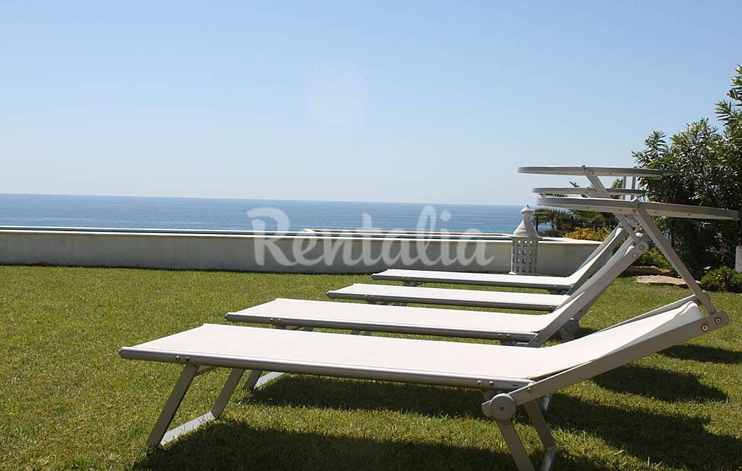 h.1232576.1070.680.0.ffffff.wm_.ef0a28dd