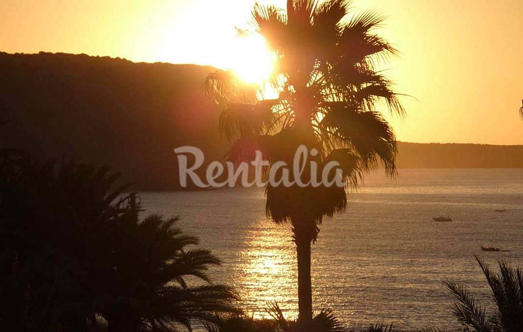 h.1232661.1070.680.0.ffffff.wm_.adde754f