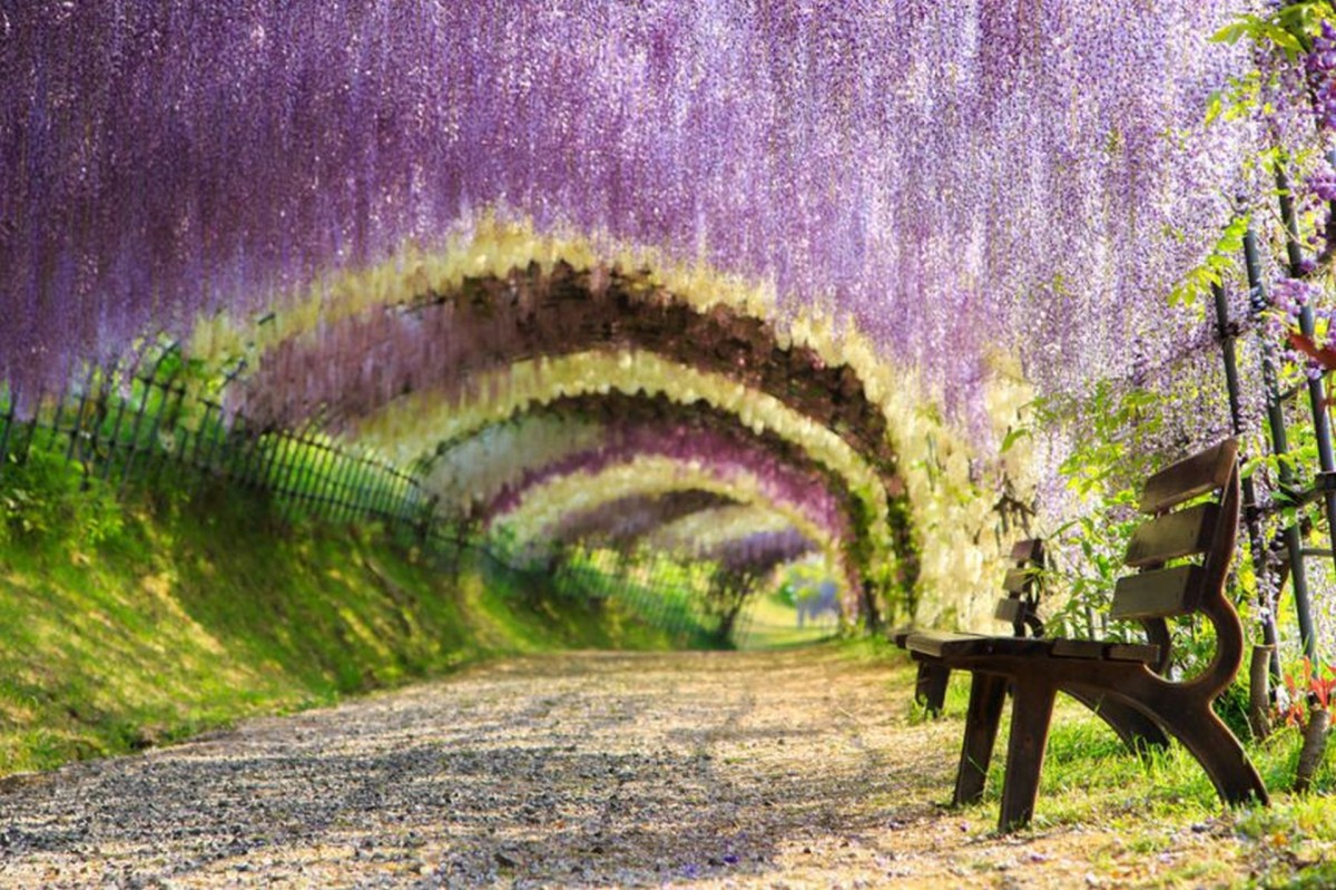 12 paisagens únicas no mundo que parecem fotomontagem... mas não são 