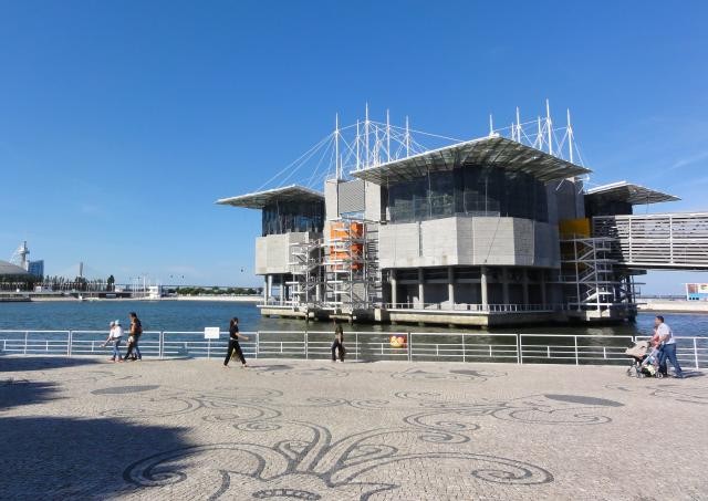 Lisboa: concessão do Oceanário nas mãos da Autoridade da Concorrência 