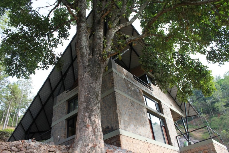 hornbill_house_09