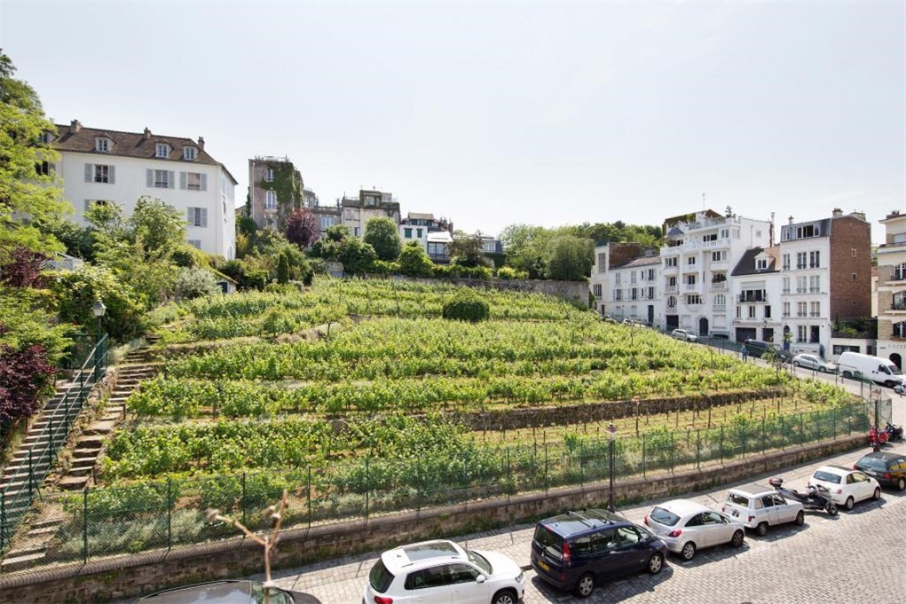 casa_vinedo_paris_01