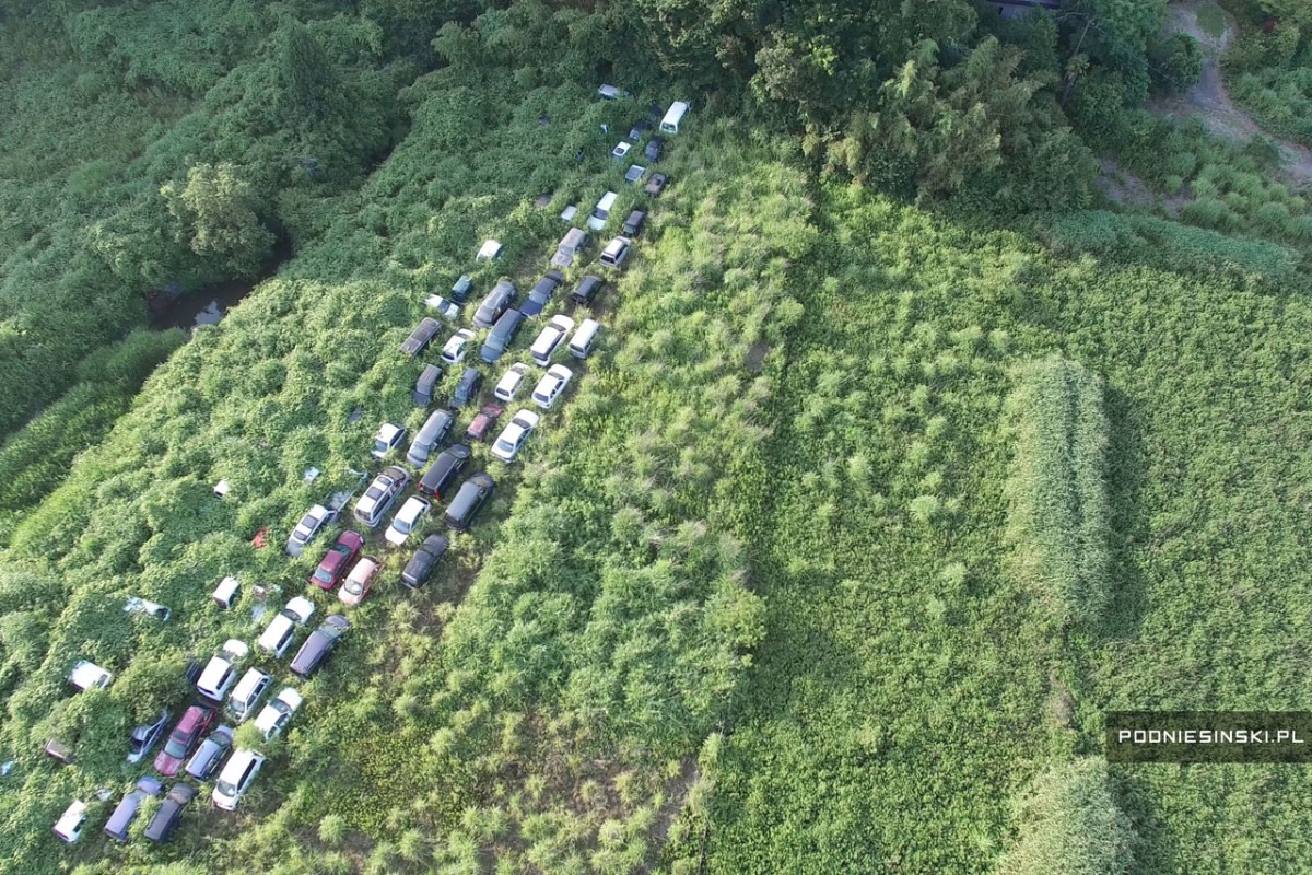 Fotos únicas de Fukushima mostram o avanço da natureza na região 