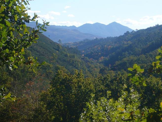 Eco-aldeia à procura de pessoas e famílias para viver em comunidade no norte de Portugal