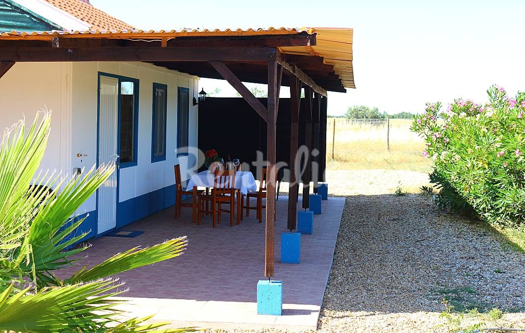 h.4459324.1070.680.0.ffffff.wm_.ac3ec7d9