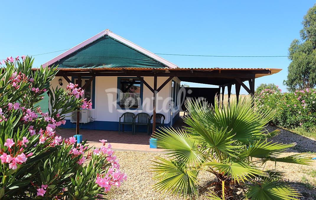 h.4459334.1070.680.0.ffffff.wm_.fee91fb9