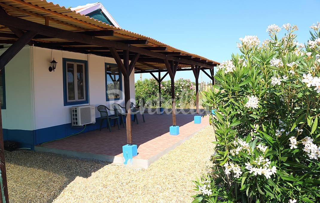 h.4459341.1070.680.0.ffffff.wm_.79394354