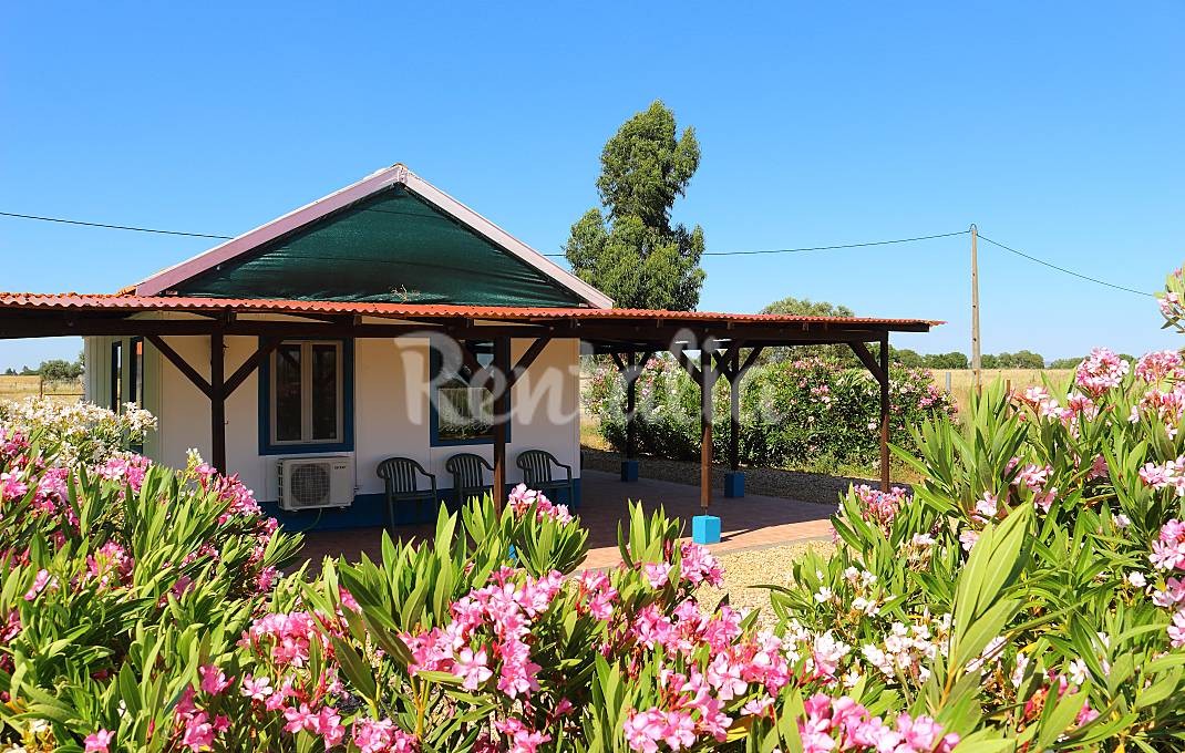 h.4459345.1070.680.0.ffffff.wm_.f2829a1e