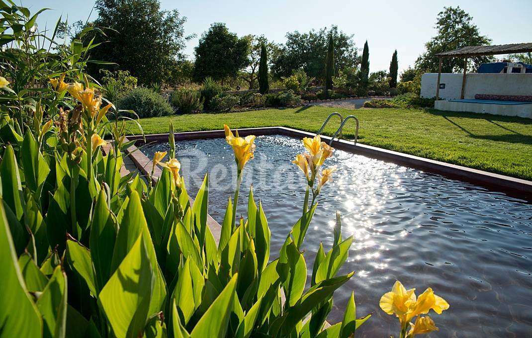 Casas de fim de semana: Descer até ao Algarve e desfrutar de campo e mar (fotos)