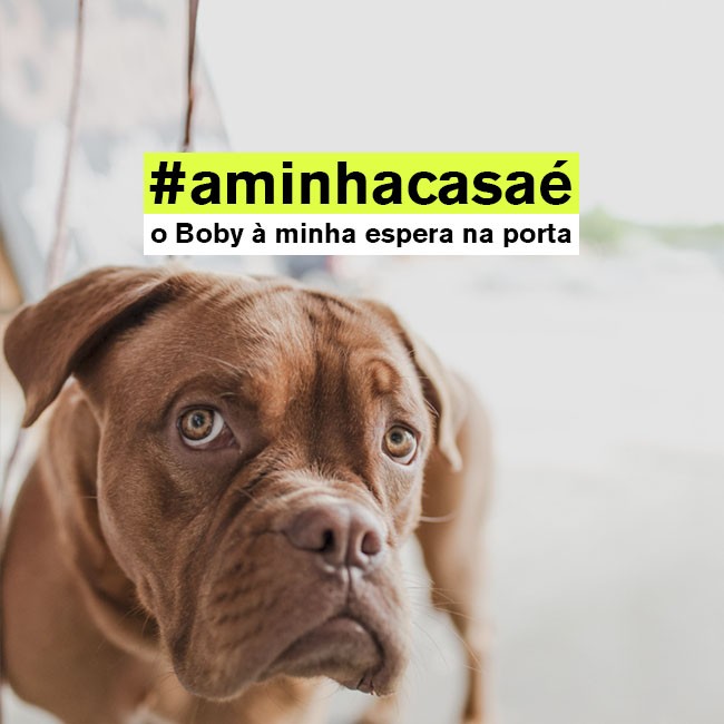#aminhacasaé: a nova campanha do idealista quer saber o que torna a tua casa única