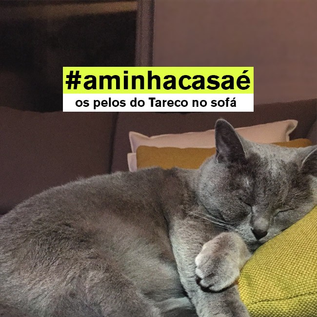 instagram_pt_02