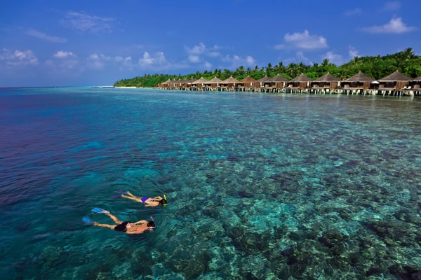 030-snorkelling-at-kuramathi