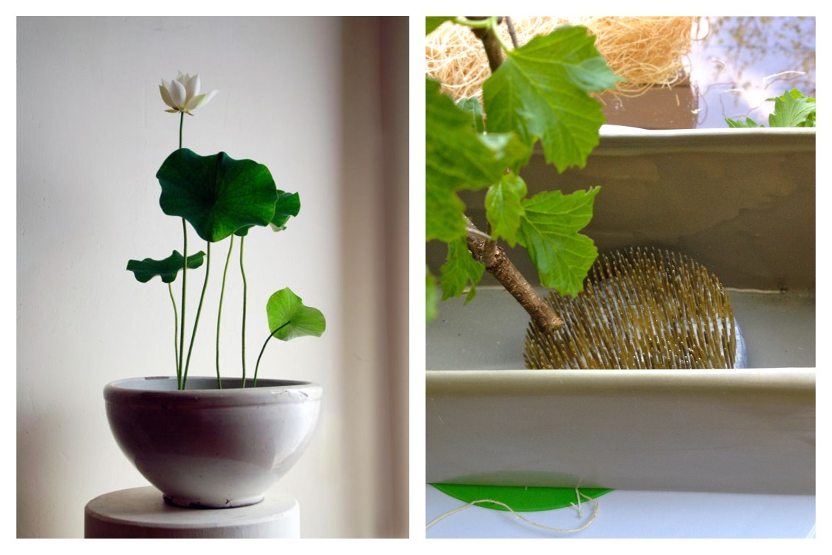 Faz tu mesmo: aprende a construir um Ikebana para usufruires de um "mini-jardim" japonês em casa