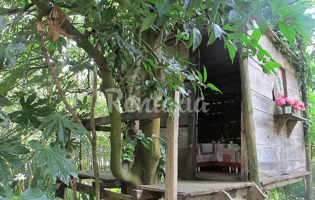 h.5311995.1070.680.0.ffffff.wm_.730bc847