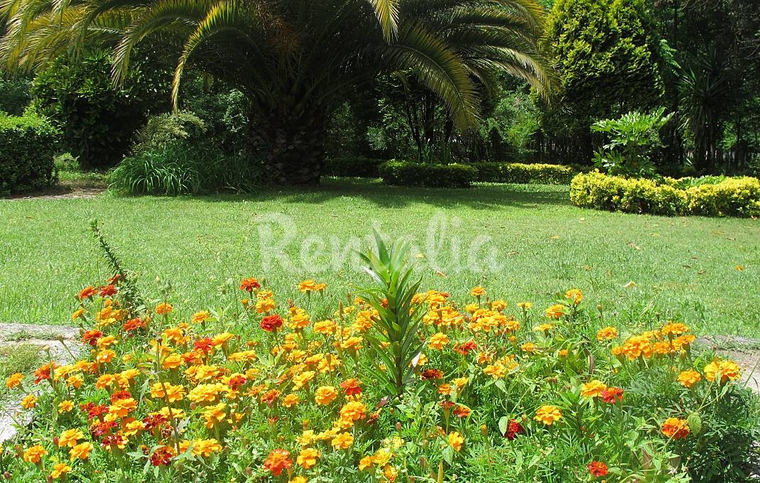 h.5312007.1070.680.0.ffffff.wm_.4c400386