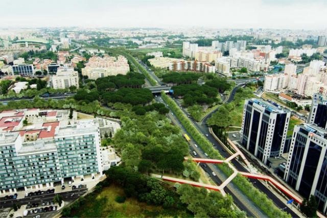 Lisboa: Câmara admite que Segunda Circular pode vir a ter ciclovias e passeios pedonais