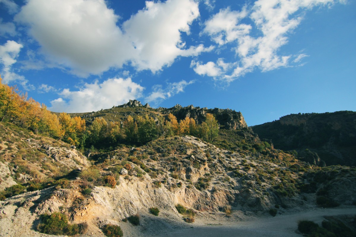 Estado encaixa menos de um milhão de euros com Bolsa Nacional de Terras
