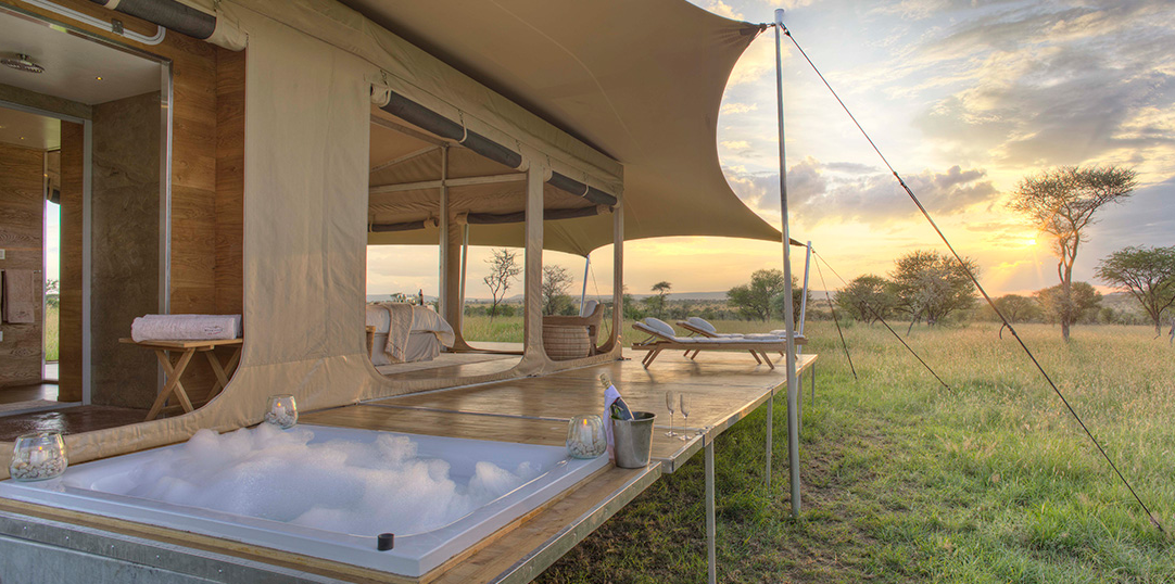 Roving Bushtops: Acampamento extremo rodeado de leões 
