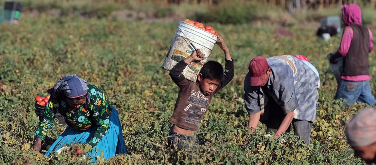 Quase 13 mil escravos hoje em Portugal? Sim e muitos devido a falsas ofertas de trabalho